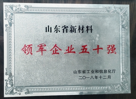 山東省新材料領(lǐng)軍企業(yè)五十強(qiáng)